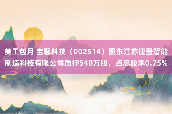 美工包月 宝馨科技（002514）股东江苏捷登智能制造科技有限公司质押540万股，占总股本0.75%